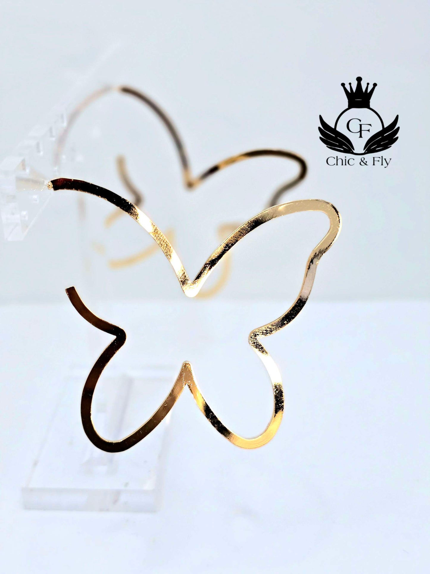 Ms.Fly...Chic and Fly Accessories Collection image 0