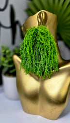 Lime Green Tassel Fringe Earrings – Lightweight, Bold & Statement-Making