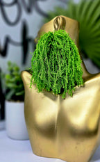 Lime Green Tassel Fringe Earrings – Lightweight, Bold & Statement-Making