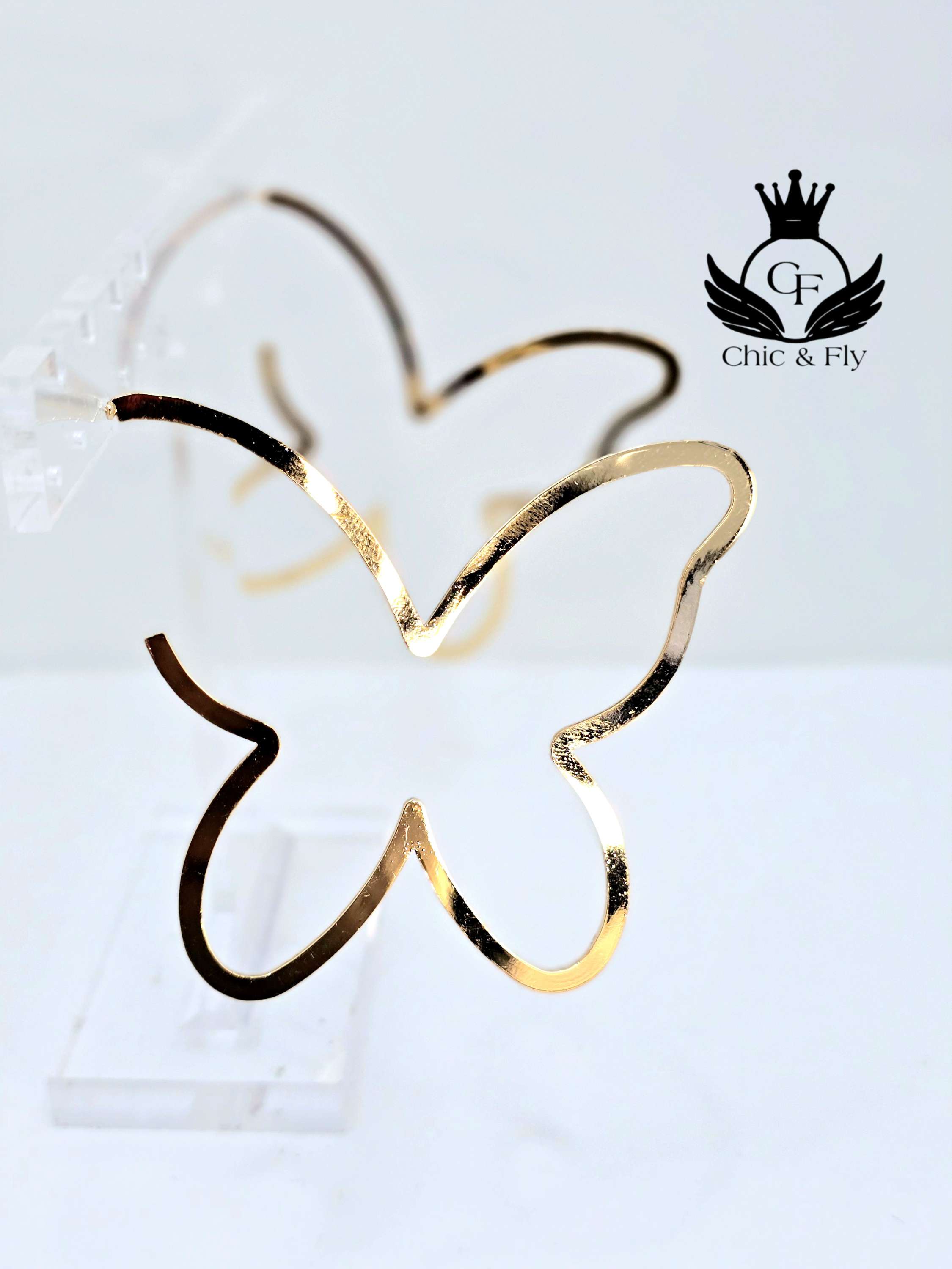 Ms.Fly...Chic and Fly Accessories Collection  image 0